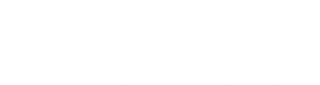 Holstein Housewares